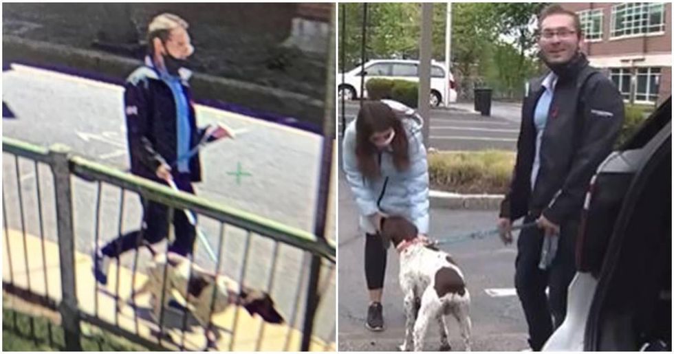 Reporter doing a story about a stolen dog catches the 'dog-napper' live on camera