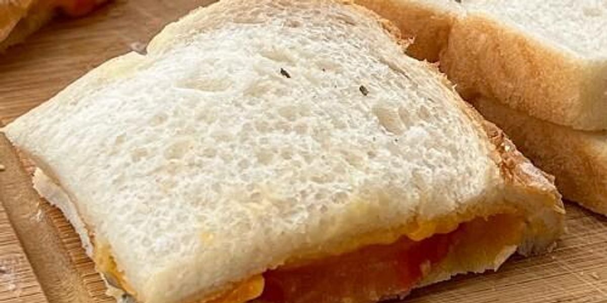 Microwave Grilled Cheese My Recipe Magic