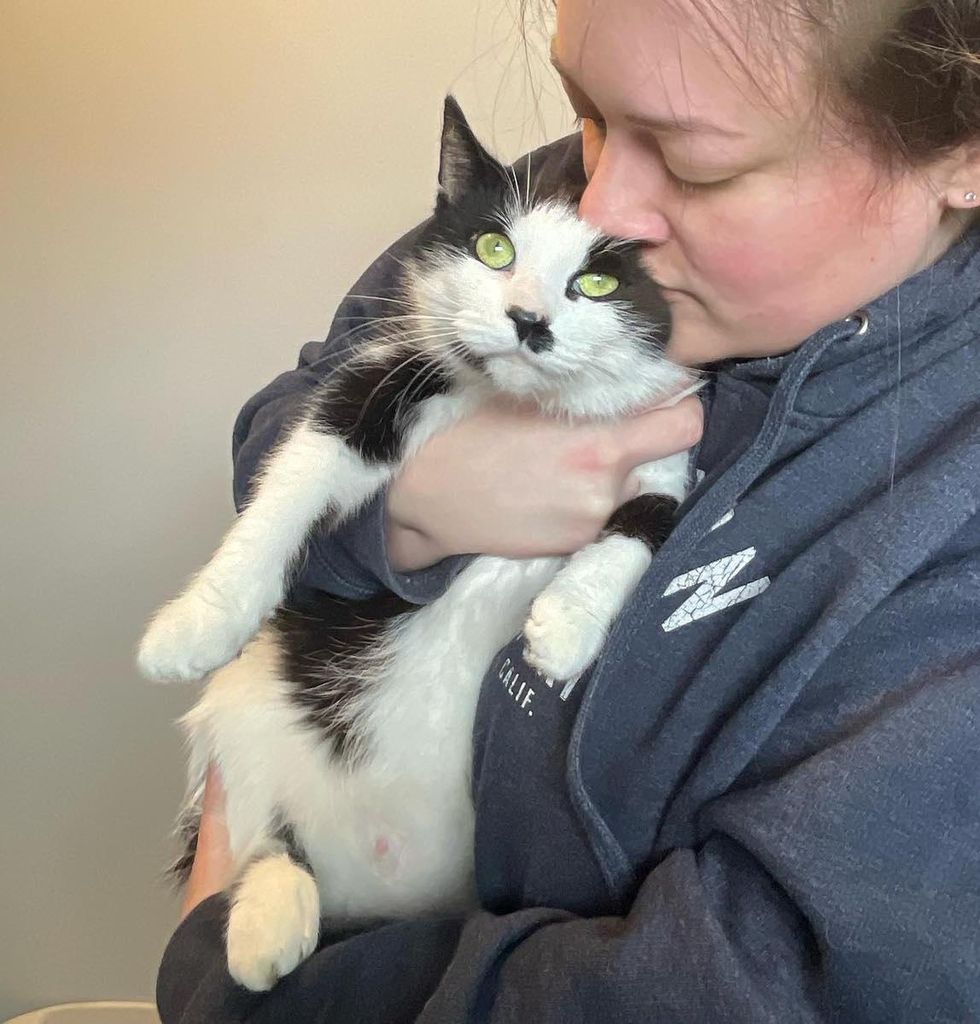 tuxedo cat hug