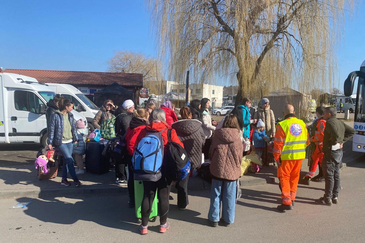 Ma ai profughi non chiedono il certificato