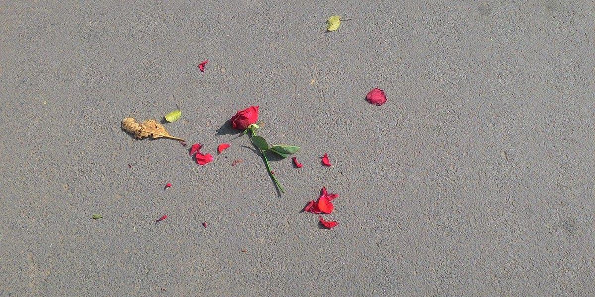 People Share The Best Thing To Do After Being Rejected So It Doesn't Get Awkward