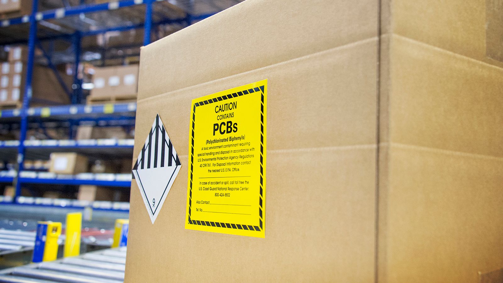 Polychlorinated Biphenyls