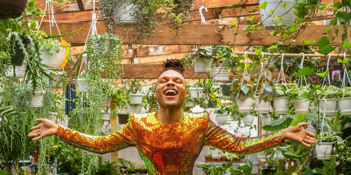 Plant Kween Puts Us On To The House Plants That Are Perfect For Spring