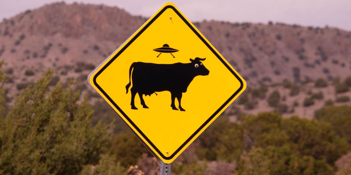 People Speculate On Who Should Represent Earth If Aliens Make Contact With Us