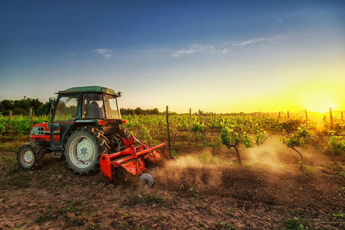 Mannaia dell’Europa sull’agricoltura. In nome del «green» avremo la fame