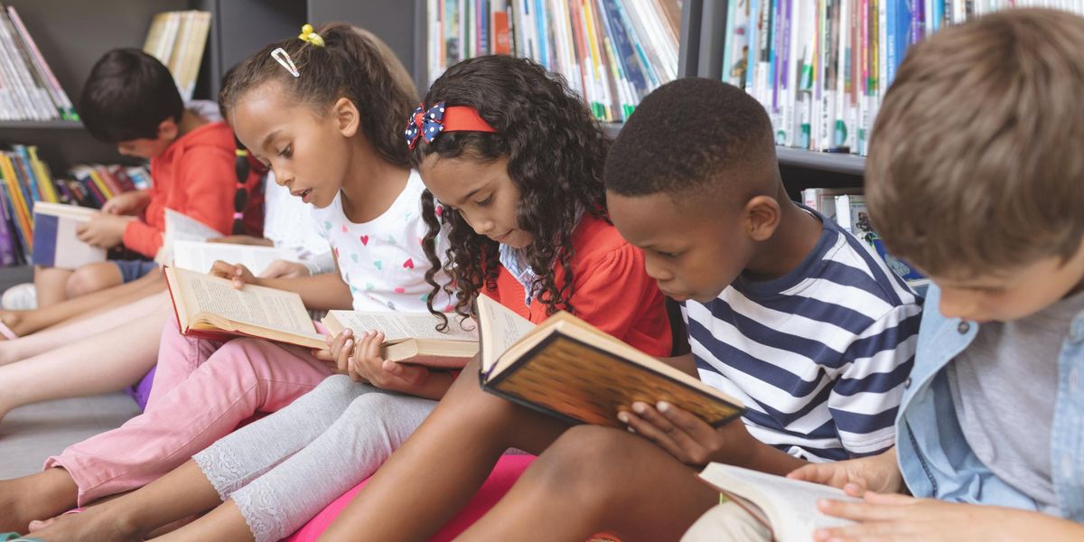 Public Library Association's national conference teaches librarians about 'queering the library,' how Dewey Decimal system is biased against 'historically marginalized groups'