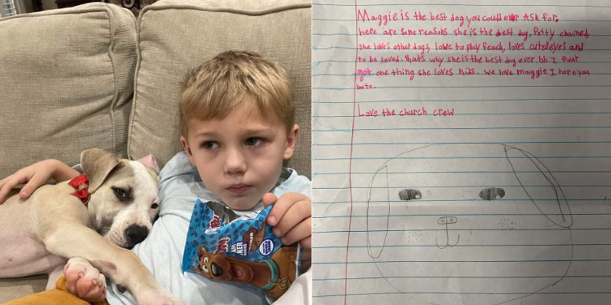 Louisiana boy writes sweet letter about his foster pup to let future(02)