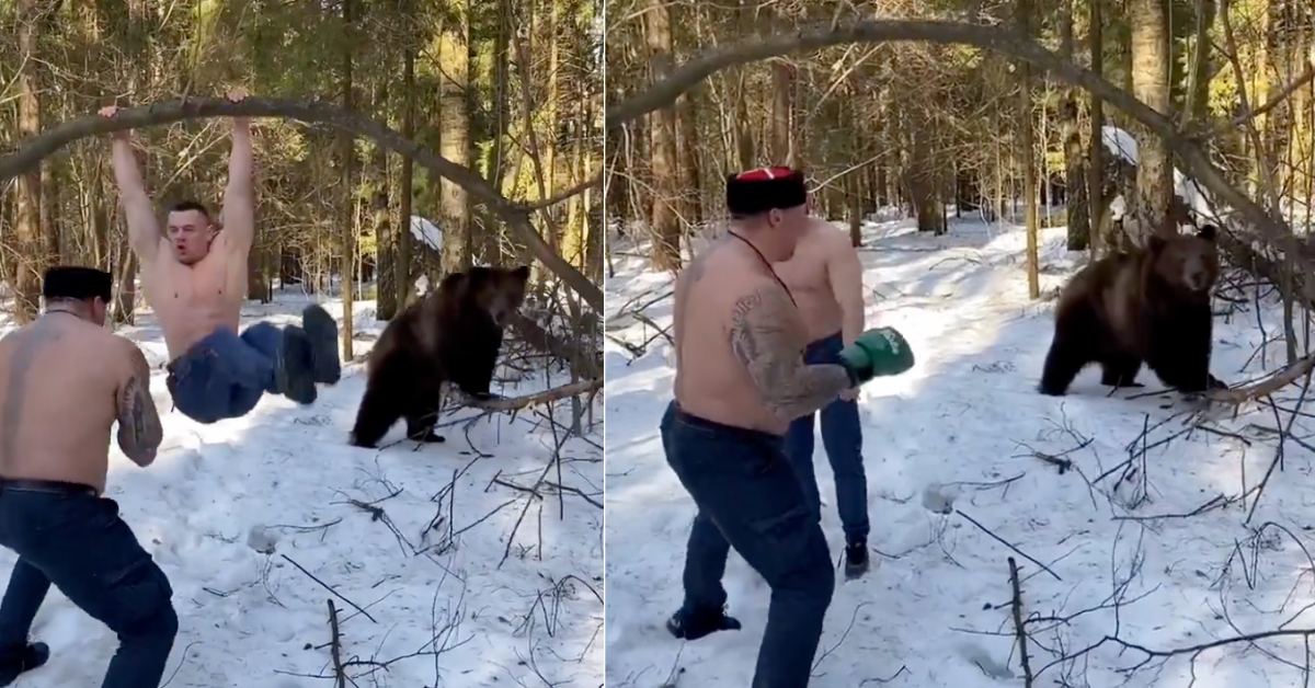 Video Of Two Shirtless Men Working Out In The Wintery Woods With A Bear Is All Kinds Of Bizarre