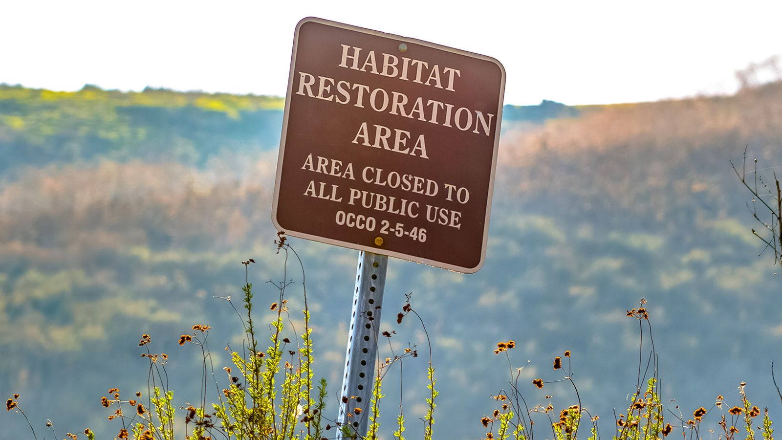 Habitat Protection