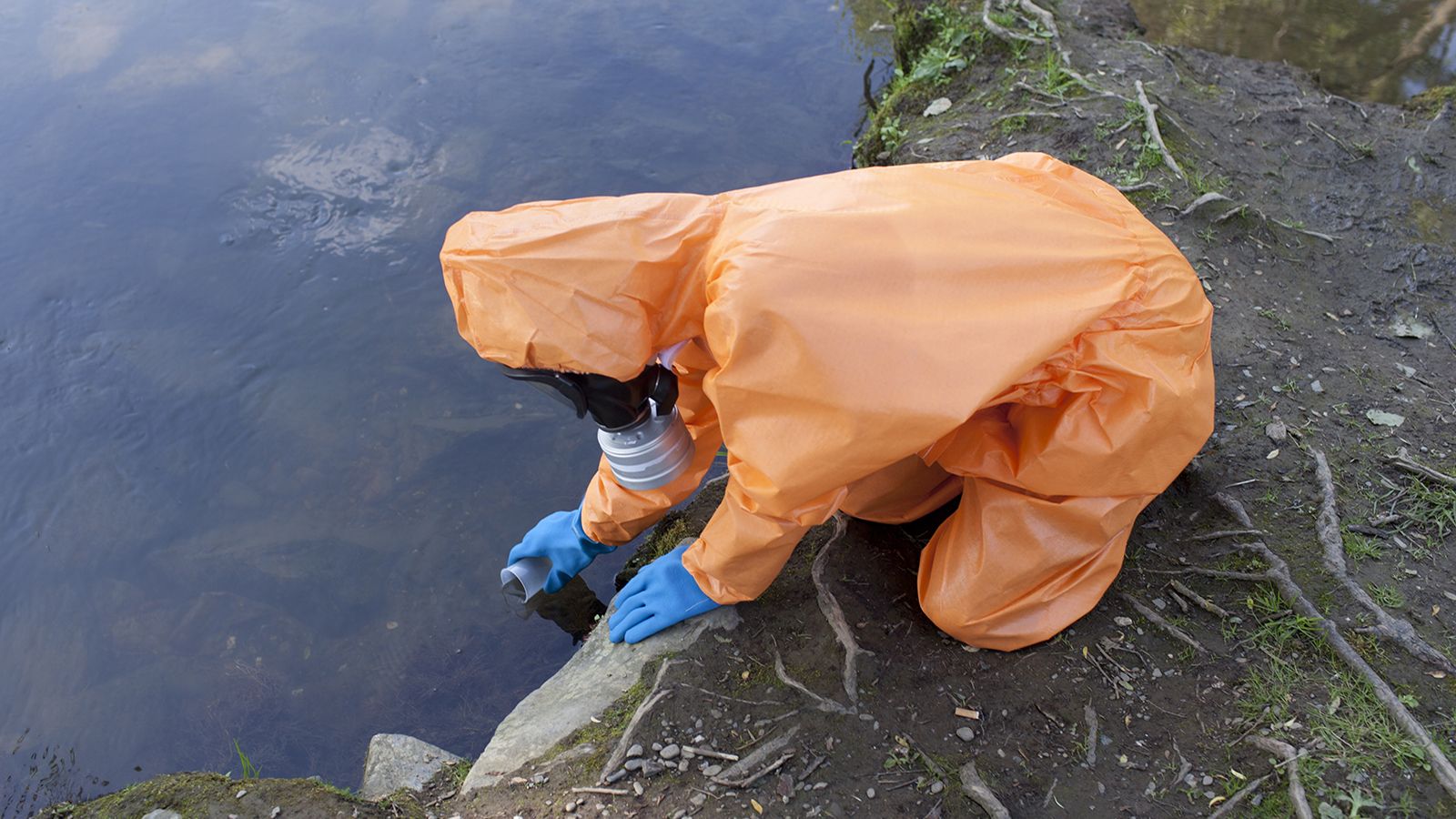 Toxic Water Pollutants