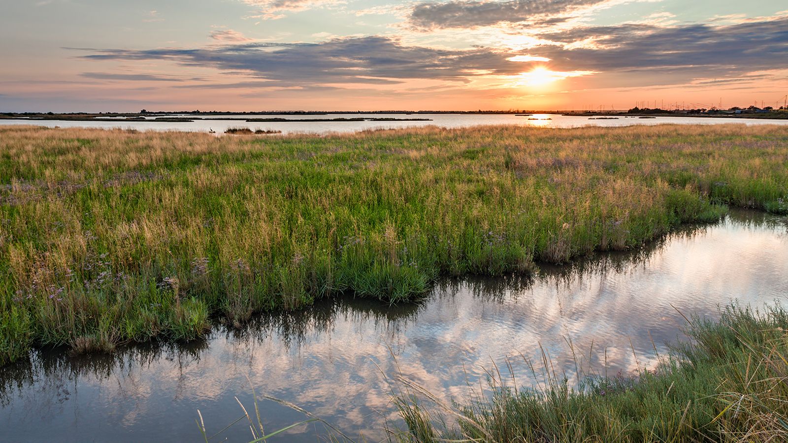 Wetlands Protection