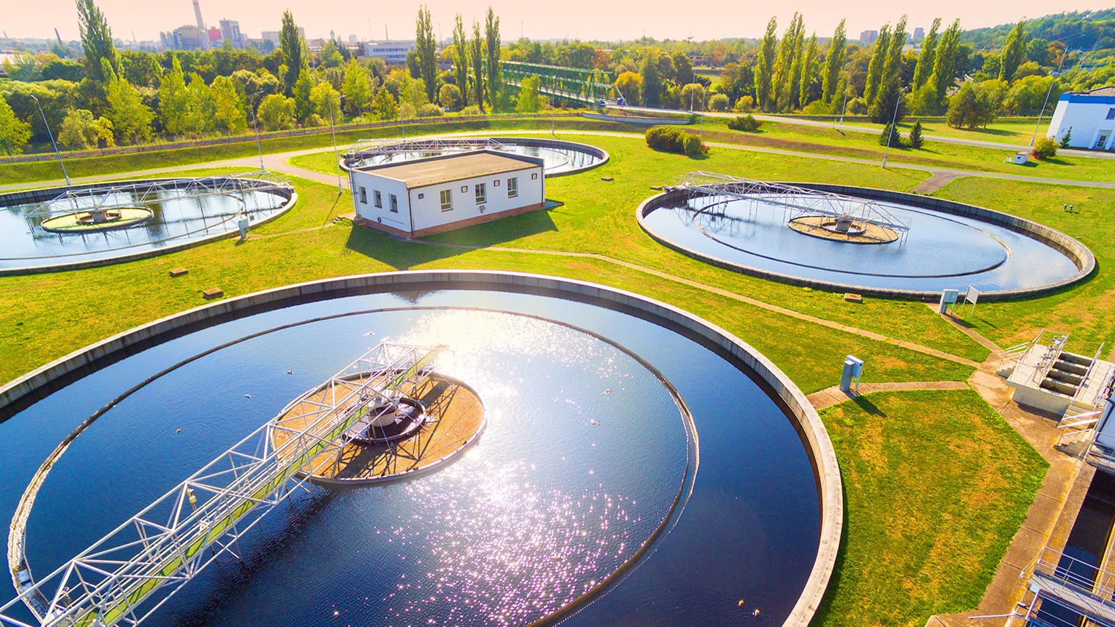 Conventional Water Pollutants