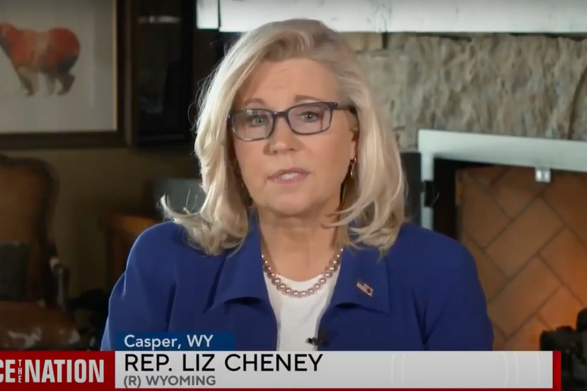 Democrats Might Just Save Liz Cheney ... So, Hooray?