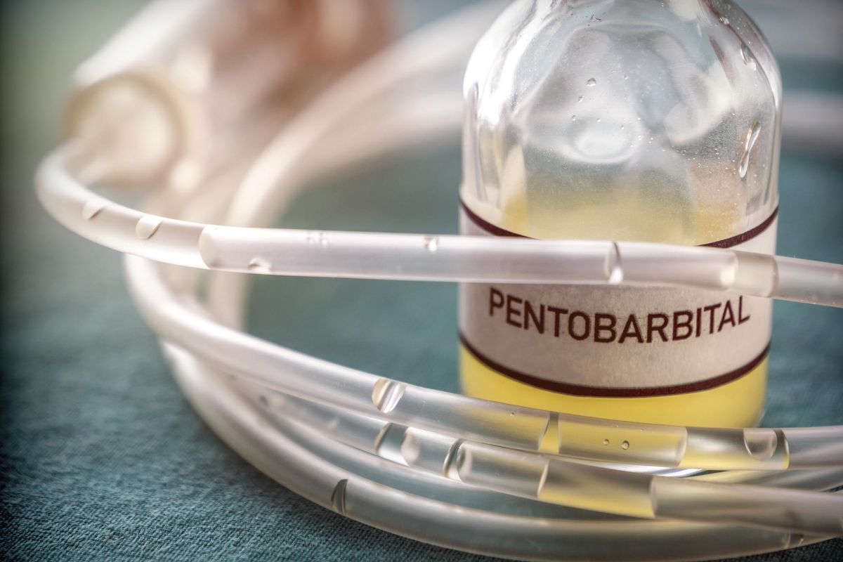 La Camera ha fretta di far approvare la morte su richiesta