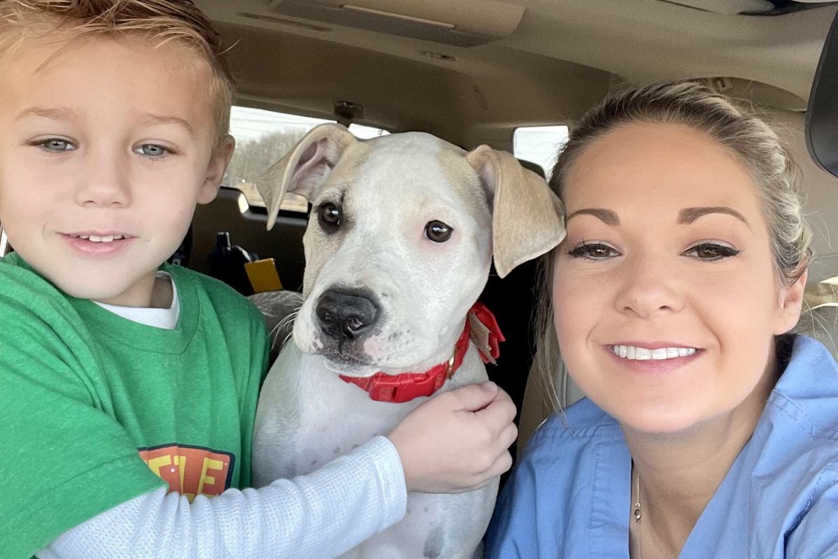 A boy in Louisiana goes the extra mile to make sure his foster dog gets a forever home