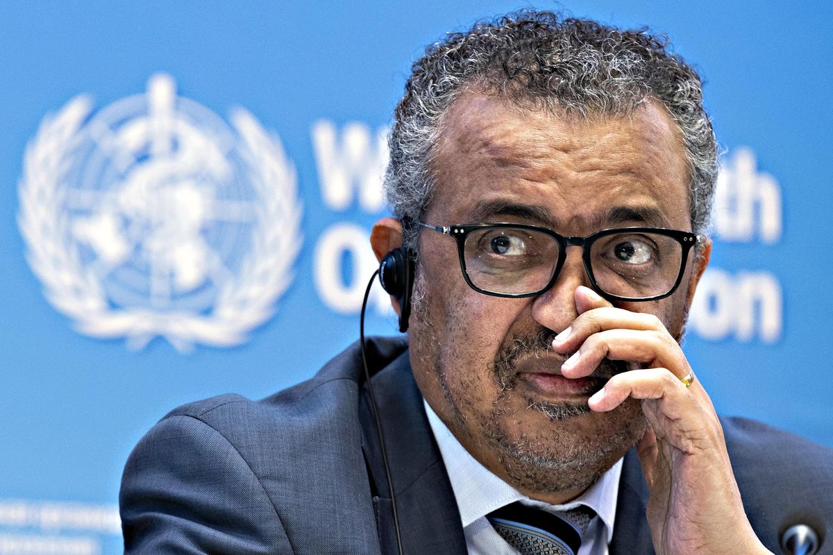 L’Oms: «Eliminate i patogeni nei laboratori»