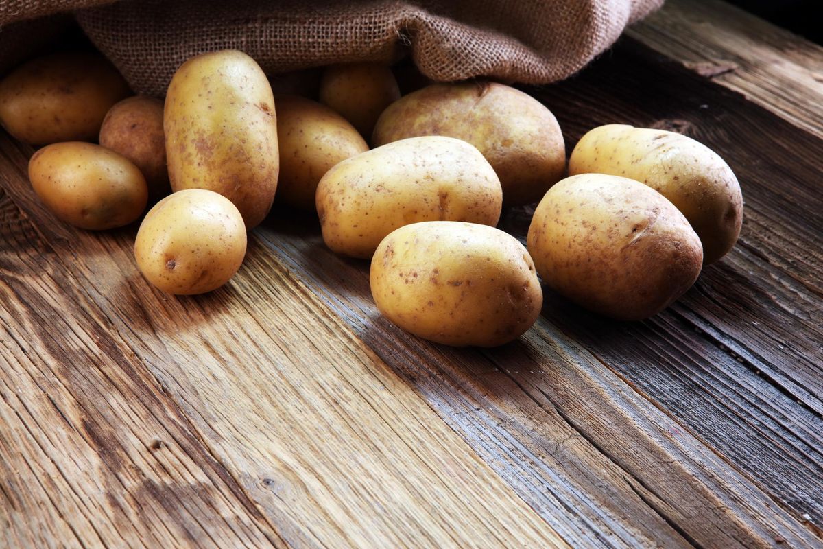 La patata, il «veleno» che sconfisse la fame