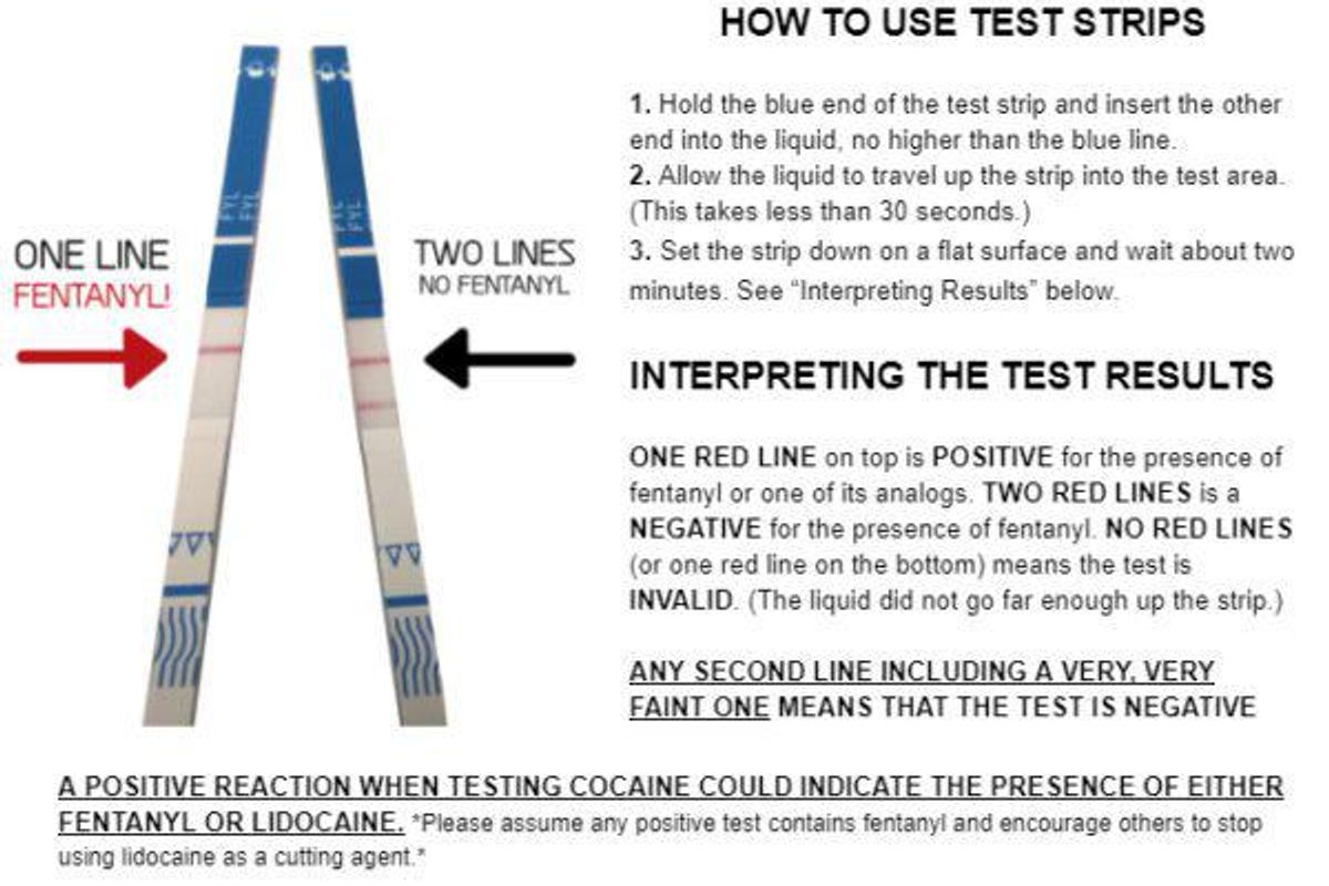 Florida GOP Loves Bad Fentanyl Test Strip Ban More Than Lives Of Spring Breakers