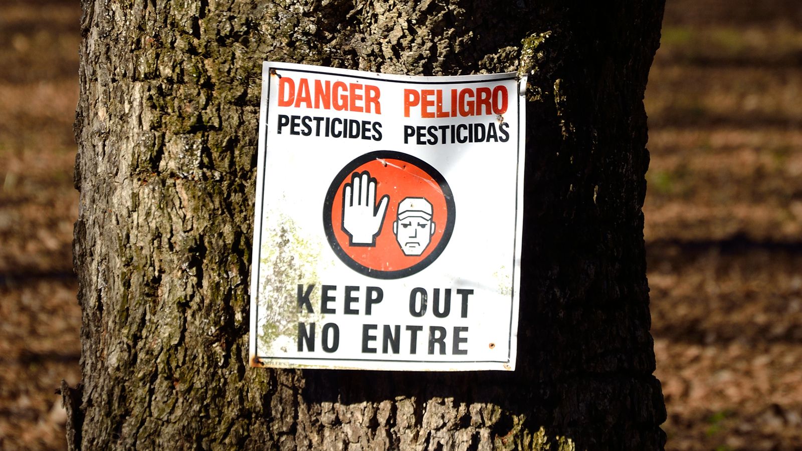 Worker Protection from Pesticides