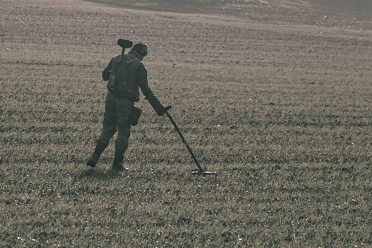 metal detector, sheriff of nottingham, robin hood