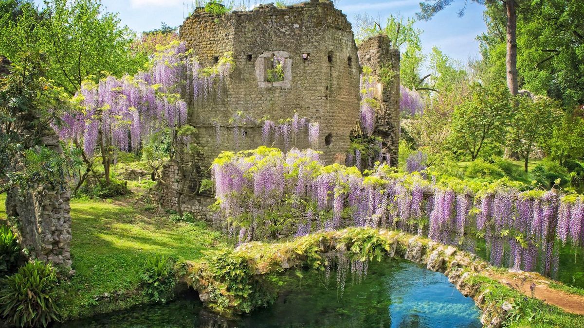 Non solo Giappone. La fioritura dei ciliegi si può ammirare anche a Roma