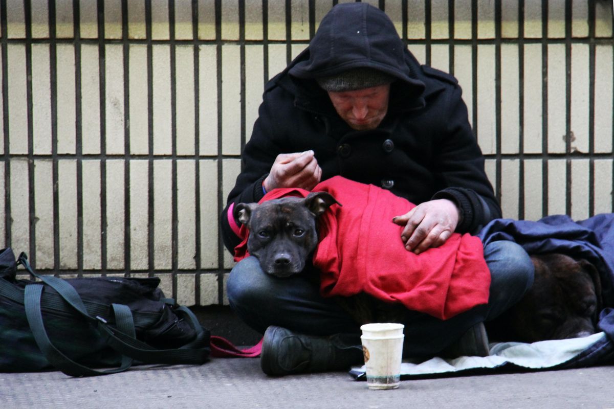 A veterinarian is helping homeless people care for their pets
