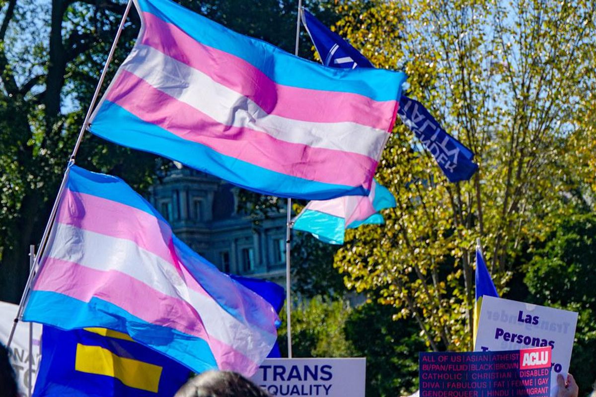 Bad Parents Tell Stupid Lies, File Stupid Lawsuits To Defend The 'Right' To Hurt Their Own Trans Kids