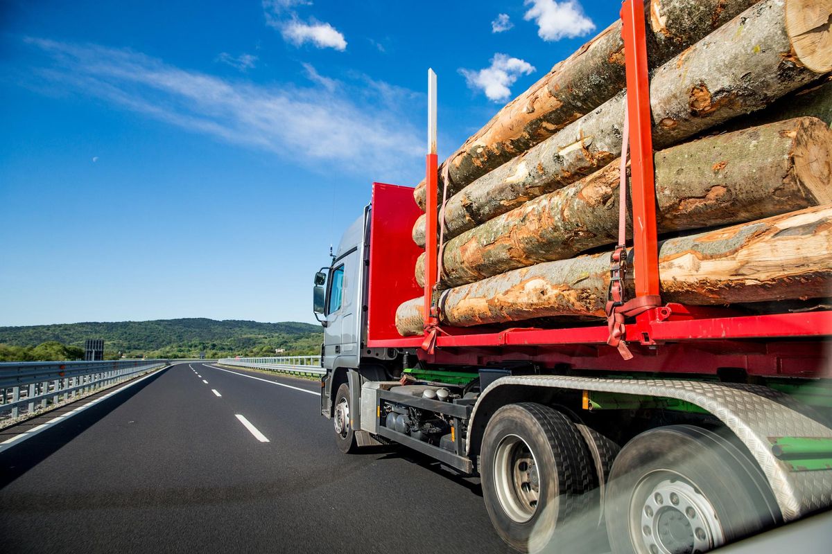 Trasporti, legno, cemento e alcolici. Il boomerang ci prenderà in pieno