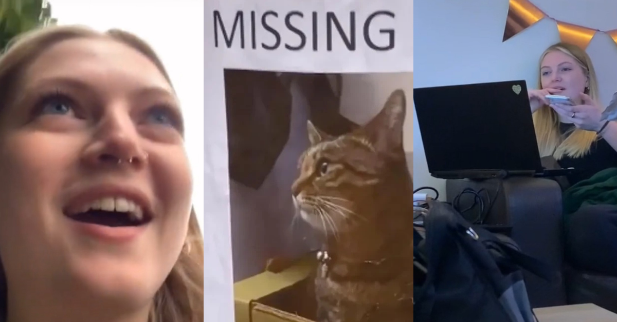 TikToker Floored After Her Neighbor Attempts To Steal Her Cat With Bogus 'Missing' Posters