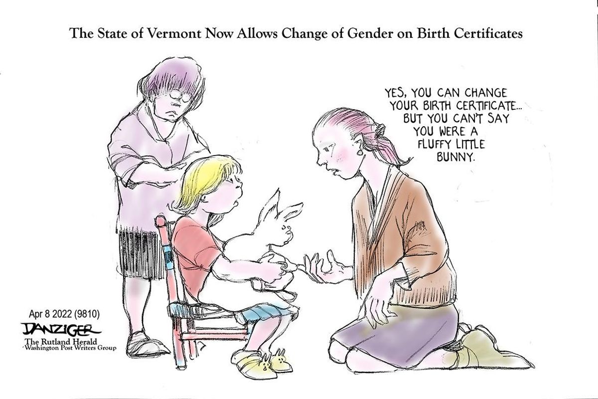 Danziger Draws