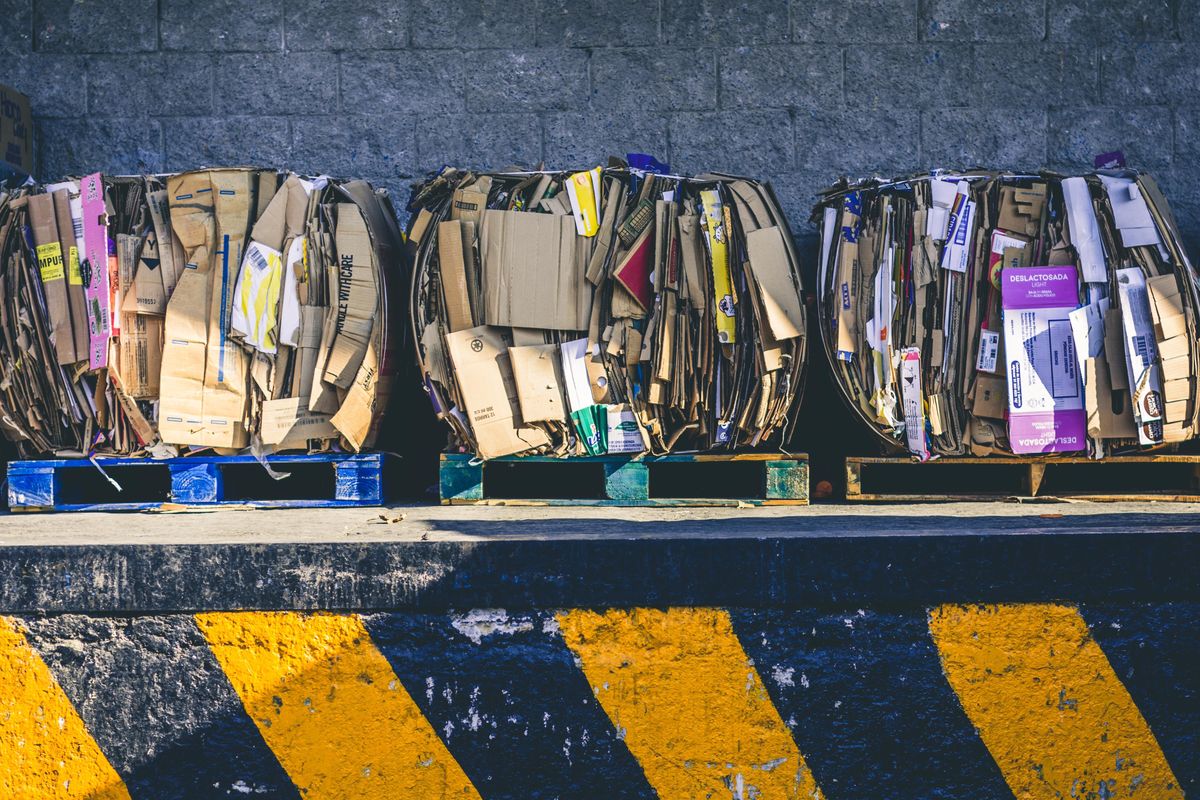 mechanic finds canvases in dumpster worth millions