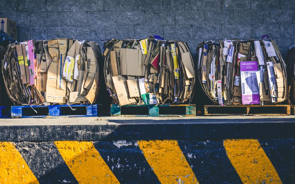 A mechanic found hundreds of canvases thrown into a dumpster and now they're worth millions
