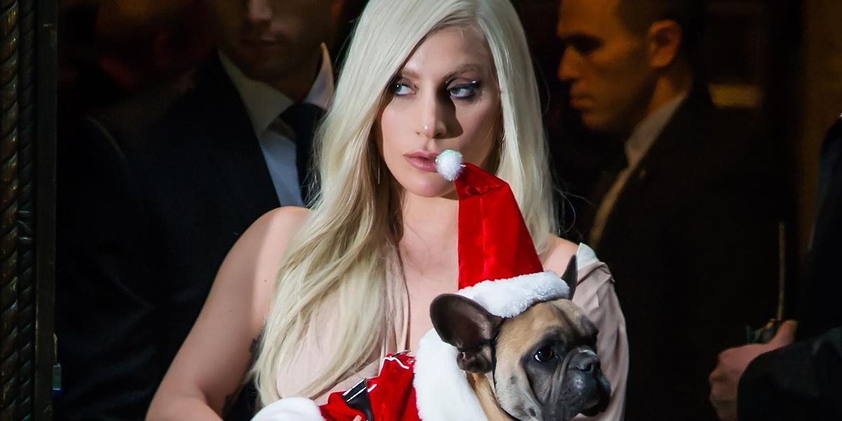 Suspect in Lady Gaga Dog Walker Shooting Mistakenly Released From Jail