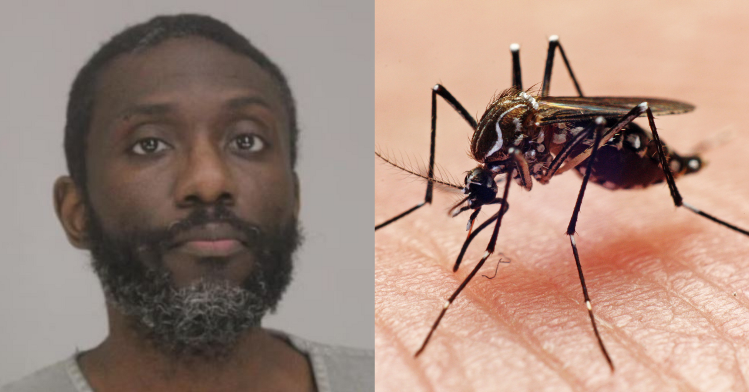 Texas Man Charged After Beating Roommate With Stick In Argument Over 'What A Mosquito Looks Like'
