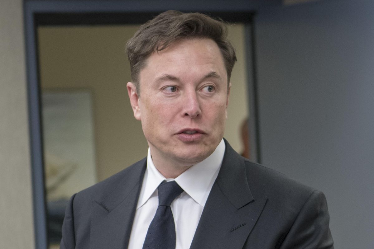 Fox News Still Tingling At Prospect Of Elon Musk Breaking Twitter