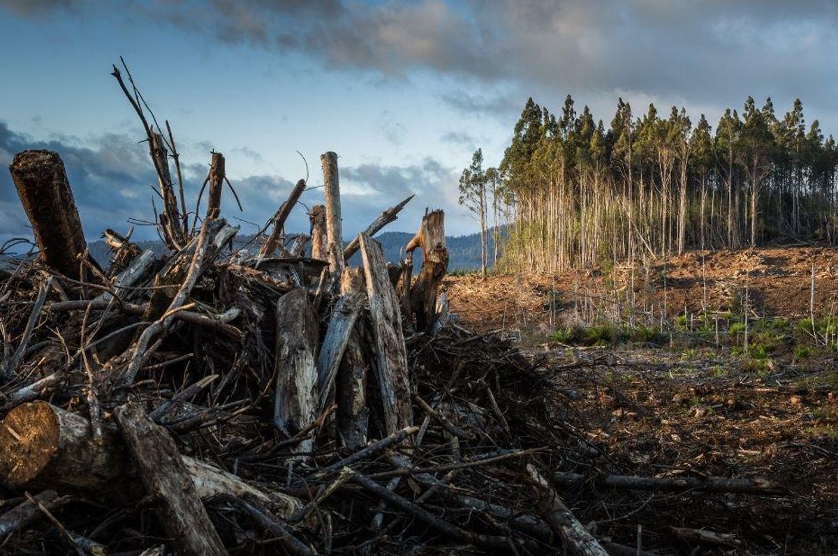 Man who won $200+ million in European lottery is using it to preserve and revitalize Earth