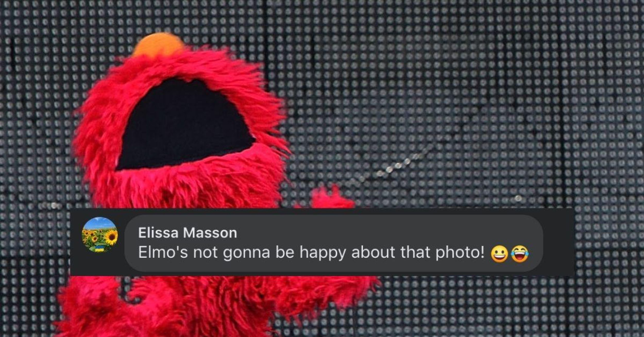 'Sesame Street' Just Trolled Elmo Hard With Their National Pet Day Post—And Fans Are LOLing