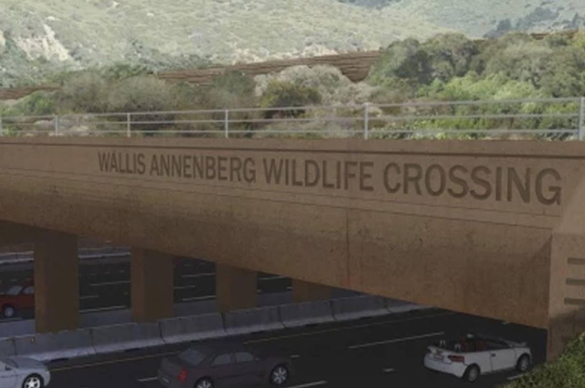 annenberg wildlife crossing, LA wildlife bridge, liberty canyon