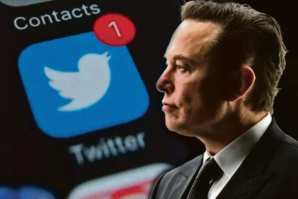 Twitter, perchè Elon Musk vuole chiudere l’uccellino in una gabbia dorata