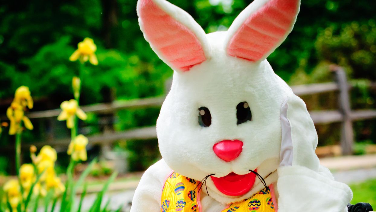 Good Guy With Gun Shoots 9-Year-Old Waiting In Line To See Easter Bunny