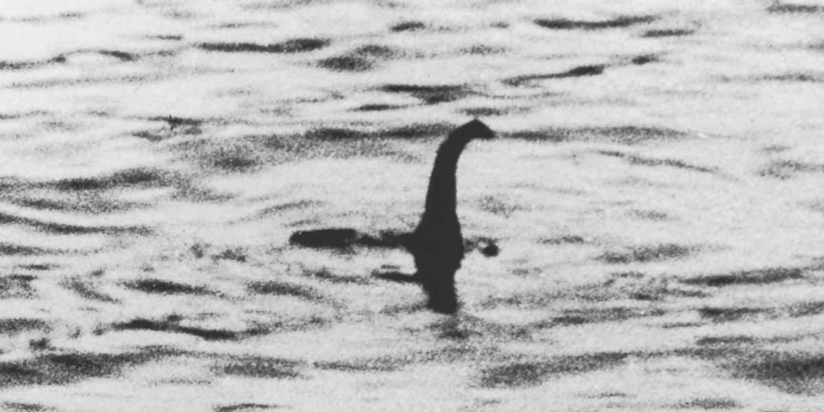 Professor Theorizes The Loch Ness Monster May Have Just Been *Checks Notes* A Whale Penis