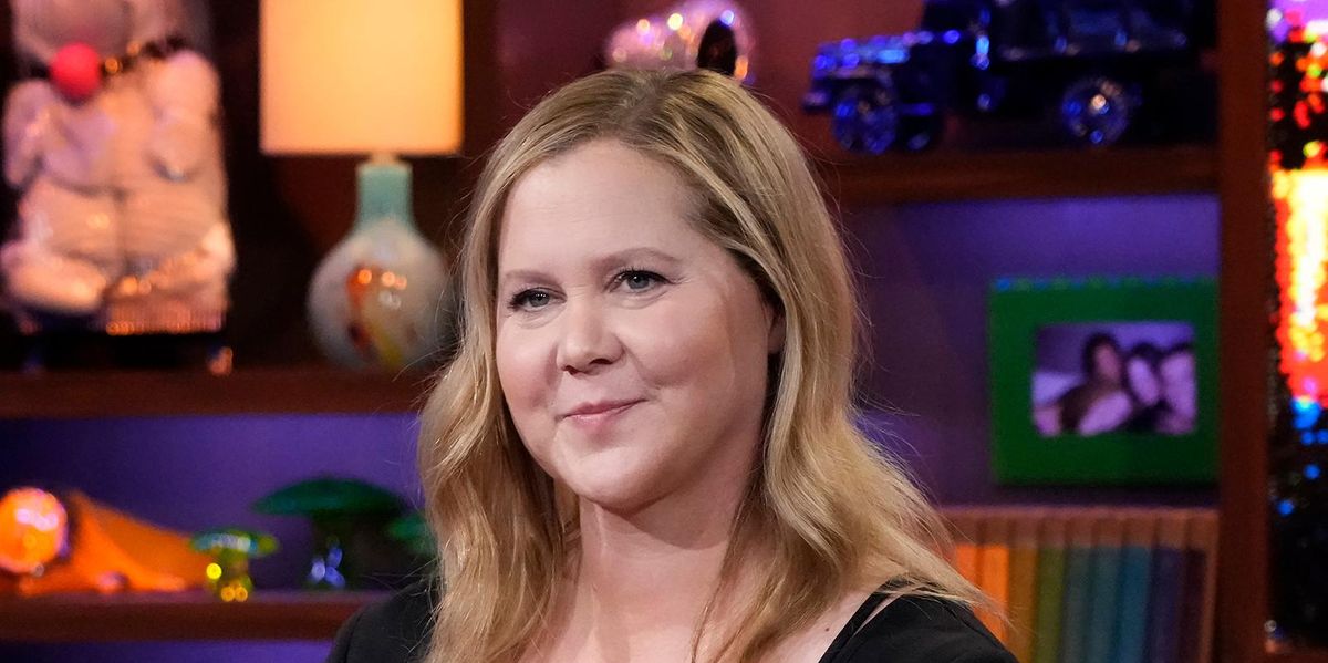 Secret Service Got Involved in Amy Schumer Death Threats