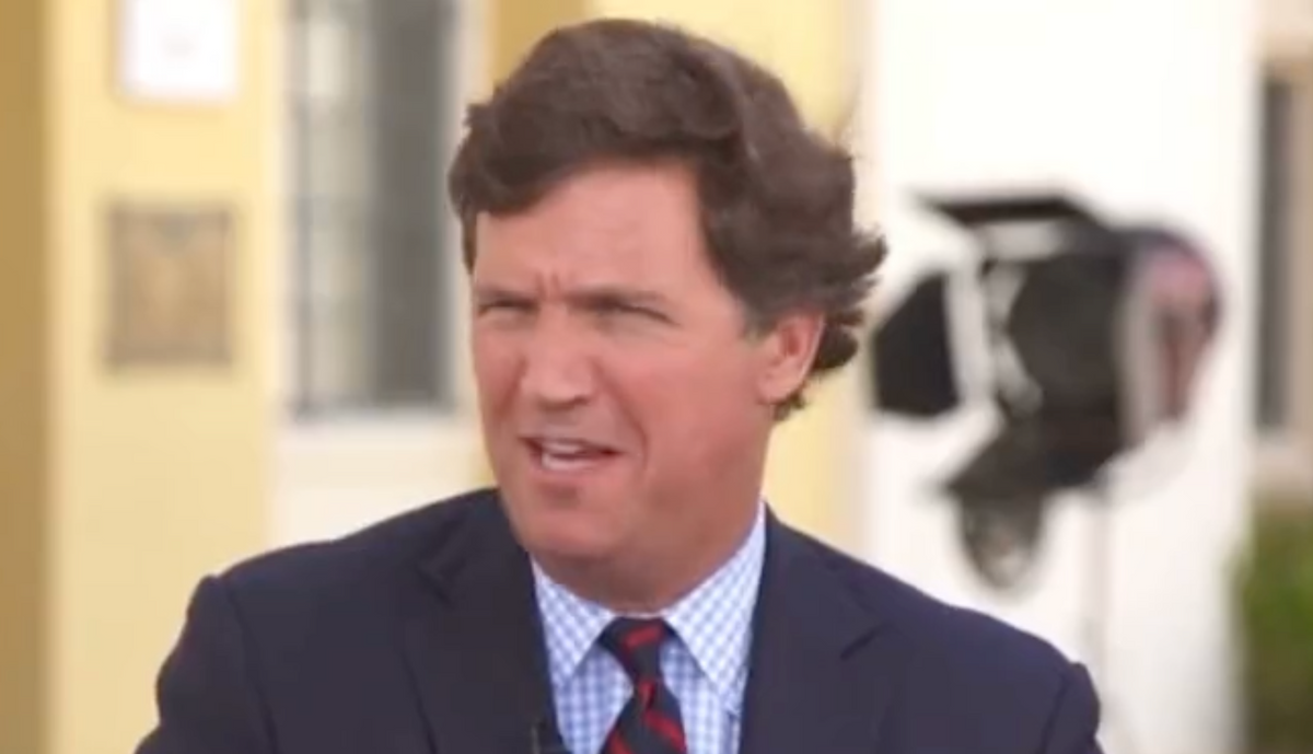 Tucker Carlson Roasted for Bizarre Interview Advocating for 'Testicle Tanning'—and Yeah, It's a Lot