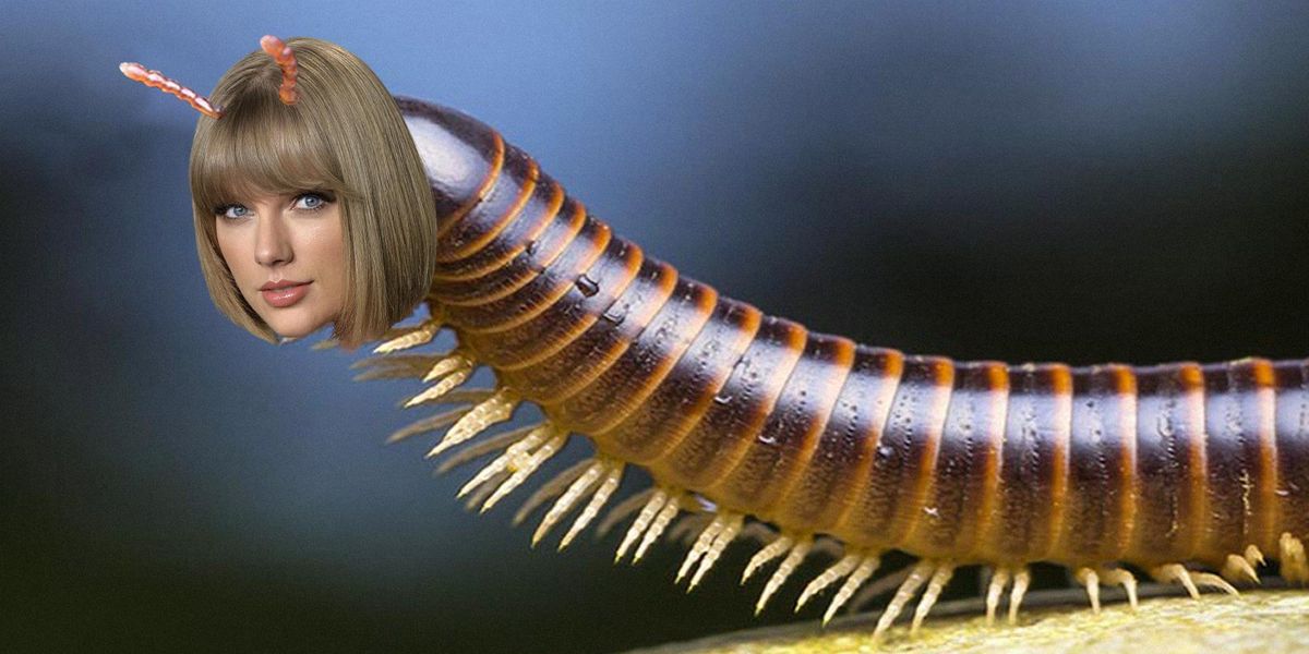 Scientists Named a Millipede After Taylor Swift