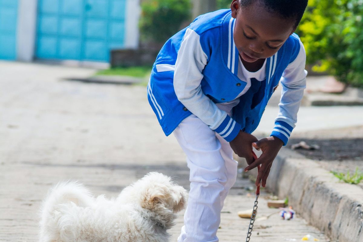 richmond, virginia, animal shelter, dogs, adoption