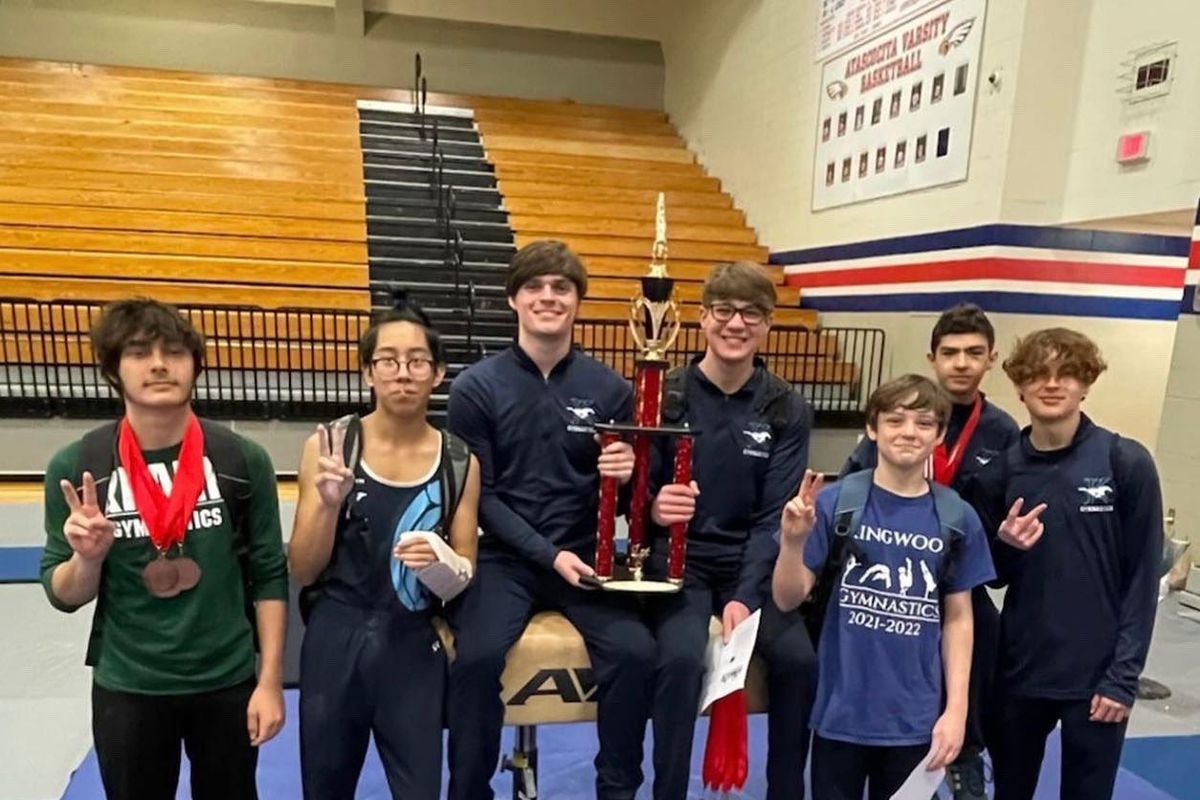 Region II Gymnastics in Full Flight