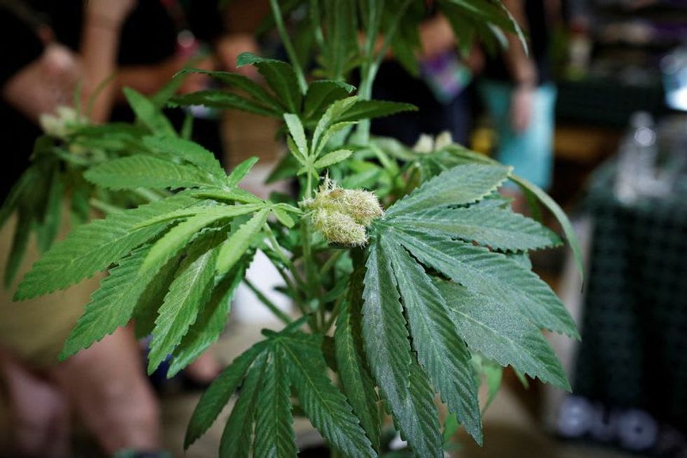 House Passes Marijuana Legalization, But Senate Prospects Are Dim