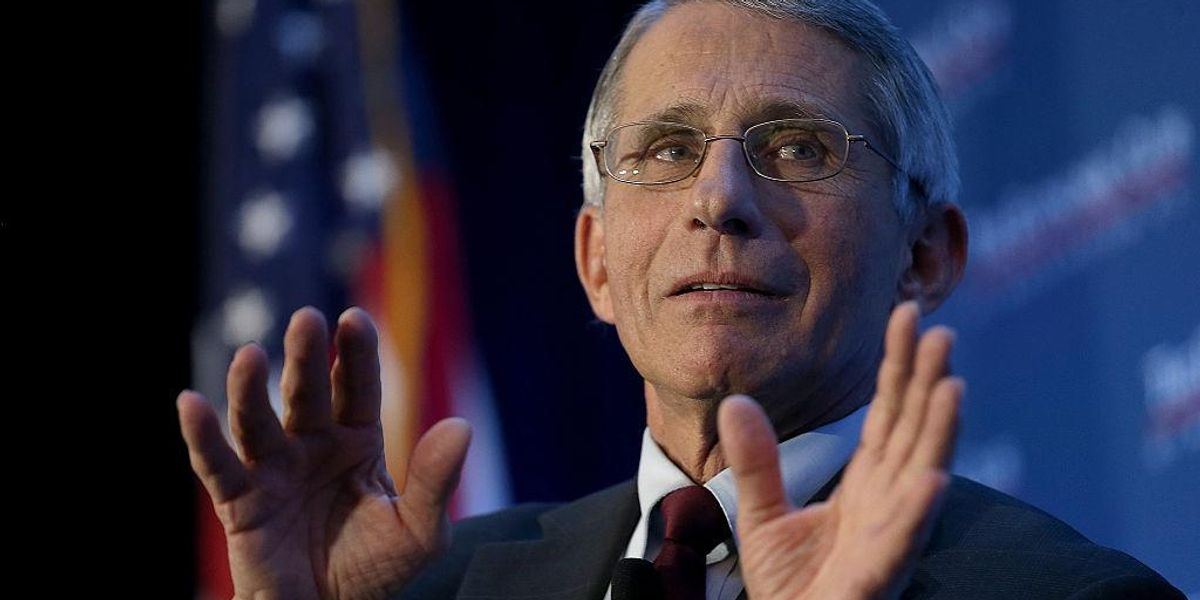 Report Provides New Details on Fauci’s Cover-Up of Wuhan Lab Leak Theory 1 image