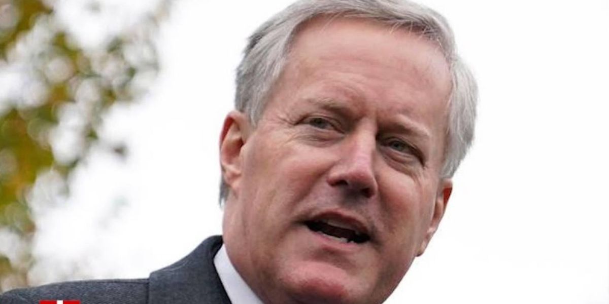 No, Overturning Georgia Election Results Wasn't Part Of Meadows' Job - Vimarsana News