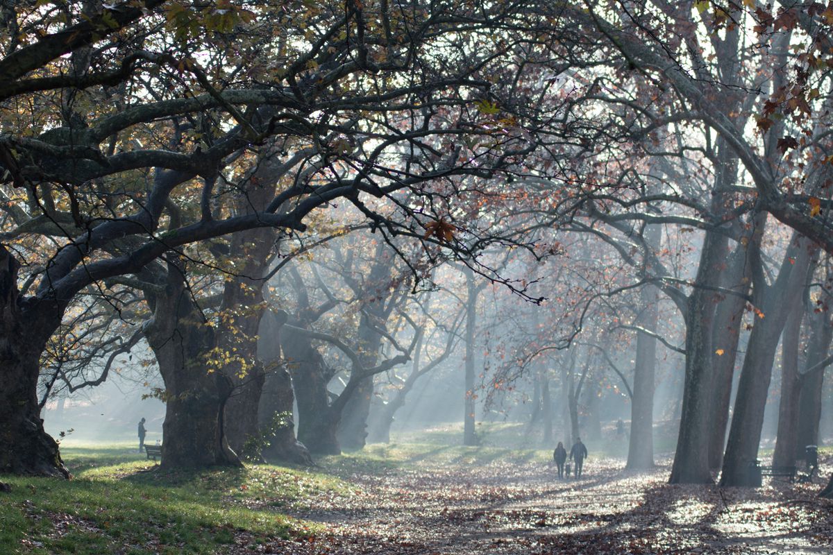 Dall’Orto botanico all’Insugherata le tante oasi di verde nella città del caos